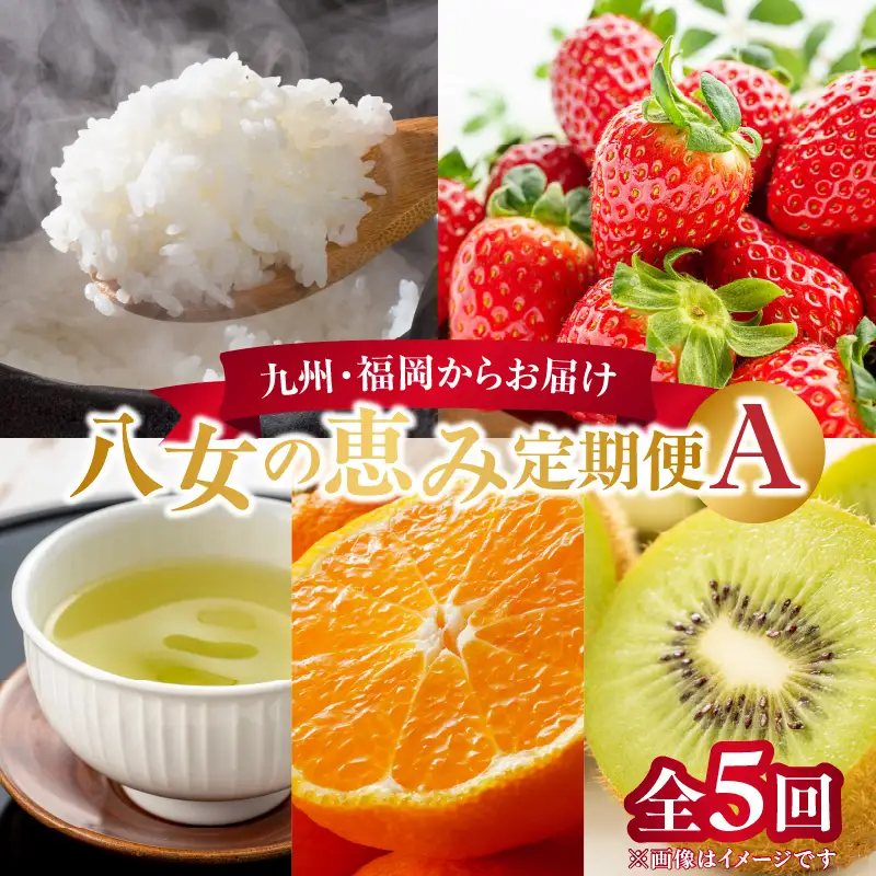 九州･福岡からお届け！八女の恵み定期便【全5回】A ＜配送不可：北海道・沖縄・離島＞ フルーツ 定期便 米 あまおう 茶 みかん キウイ 果物 おすすめ セット 産地直送 福岡県 八女市 072-T032