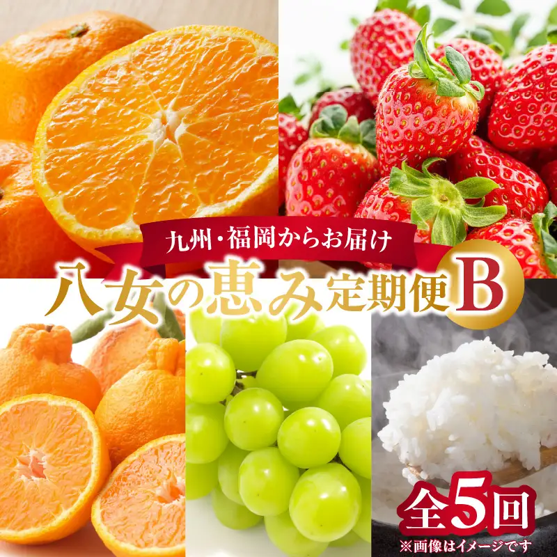 九州･福岡からお届け！八女の恵み定期便【全5回】B ＜配送不可：北海道・沖縄・離島＞ フルーツ 定期便 あまおう みかん 不知火 シャインマスカット 果物 おすすめ セット 産地直送 福岡県 八女市 072-T033