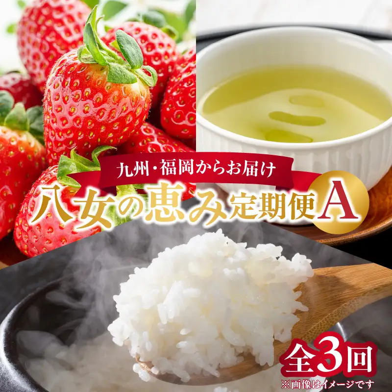 九州･福岡からお届け！八女の恵み定期便【全3回】A ＜配送不可：北海道・沖縄・離島＞ フルーツ 定期便 あまおう お茶 お米 果物 おすすめ セット 産地直送 福岡県 八女市 072-T034