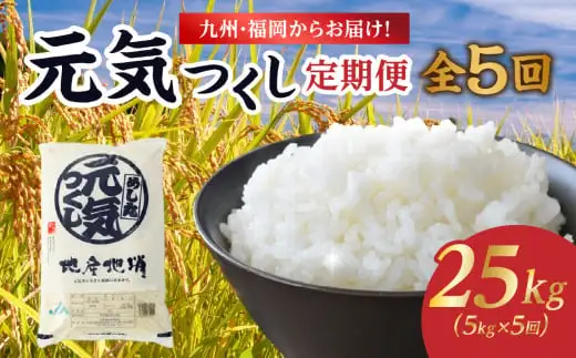 九州・福岡からお届け！ブランド米「元気つくし」定期便【全5回】 お米 米 コメ 白米 特A 直送 お弁当 おにぎり 炊きたて ツヤ 粘り もちもち 弾力 卵かけご飯 福岡県 八女市 072-T070