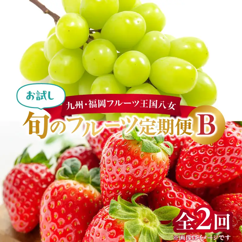 九州・福岡フルーツ王国八女 お試し旬のフルーツ定期便【全2回】B ＜配送不可：北海道・沖縄・離島＞ フルーツ 定期便 あまおう シャインマスカット 季節のフルーツ 果物 おすすめ セット 産地直送 福岡県 八女市 072-T016