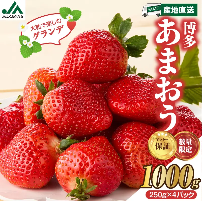 【先行受付：2027年2月発送開始】博多あまおうＧ250g×4パック｜JAふくおか八女 あまおう いちご 苺 イチゴ フルーツ 果物 くだもの 人気 旬 福岡県産 大粒 アフター補償 数量限定 期間限定 産地直送 グランデ 福岡県 八女市 002-003
