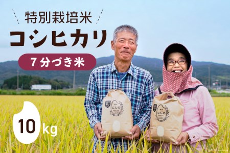 【期間限定発送】 米 令和6年 特別栽培米 コシヒカリ 7分づき 10kg ×1