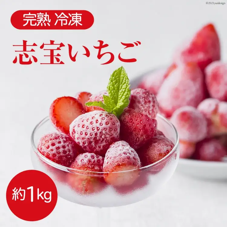 完熟 冷凍 志宝いちご 約1kg
