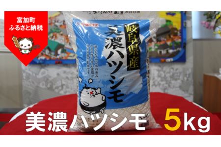 【9033】美濃ハツシモ5kg　令和４年度産