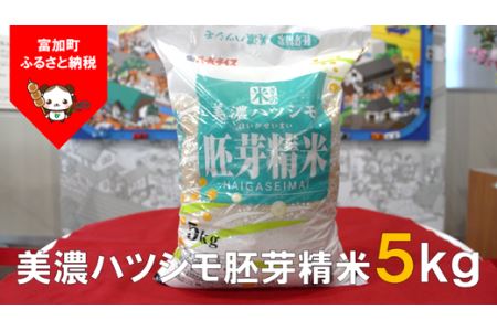 【10097】美濃ハツシモ胚芽精米5kg　令和４年度産