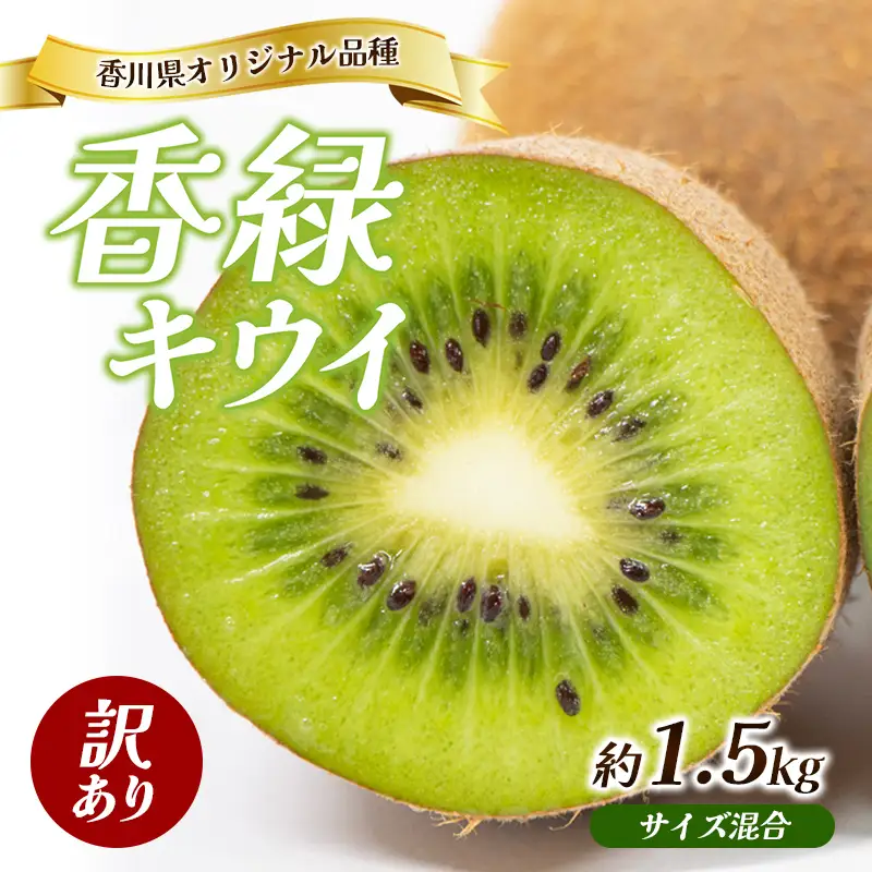 キウイ 香緑 訳あり 不揃い 香川県産 キウイ【約1.5kg サイズ混合】 【46312267】