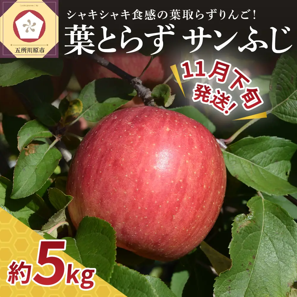 【2026年11月下旬発送】【家庭用】りんご葉とらずサンふじ5kg