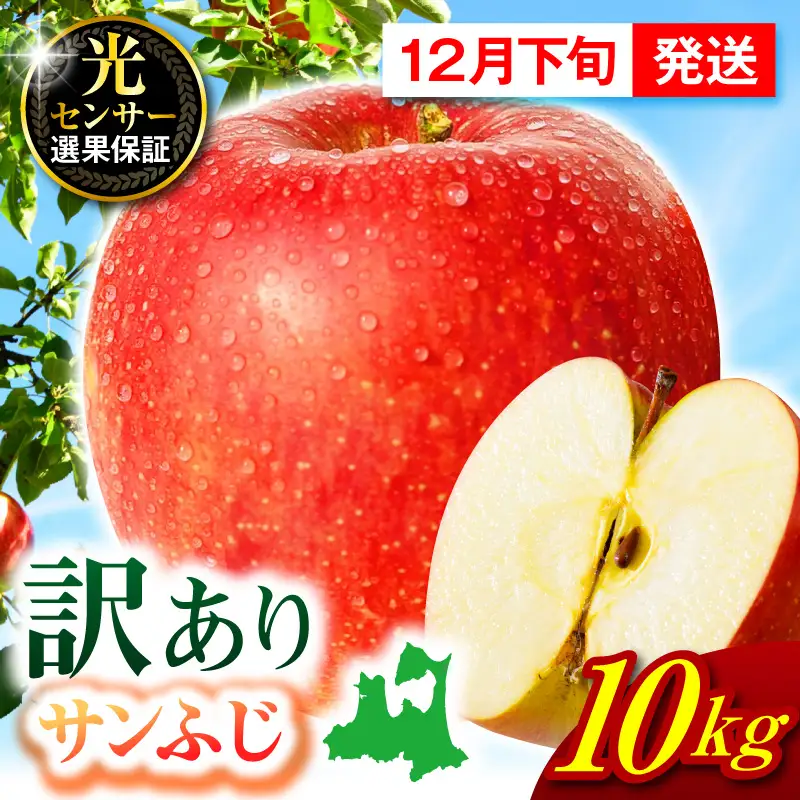 【2026年12月下旬発送】【訳あり】 りんご 約10kg サンふじ 青森 家庭用 りんご