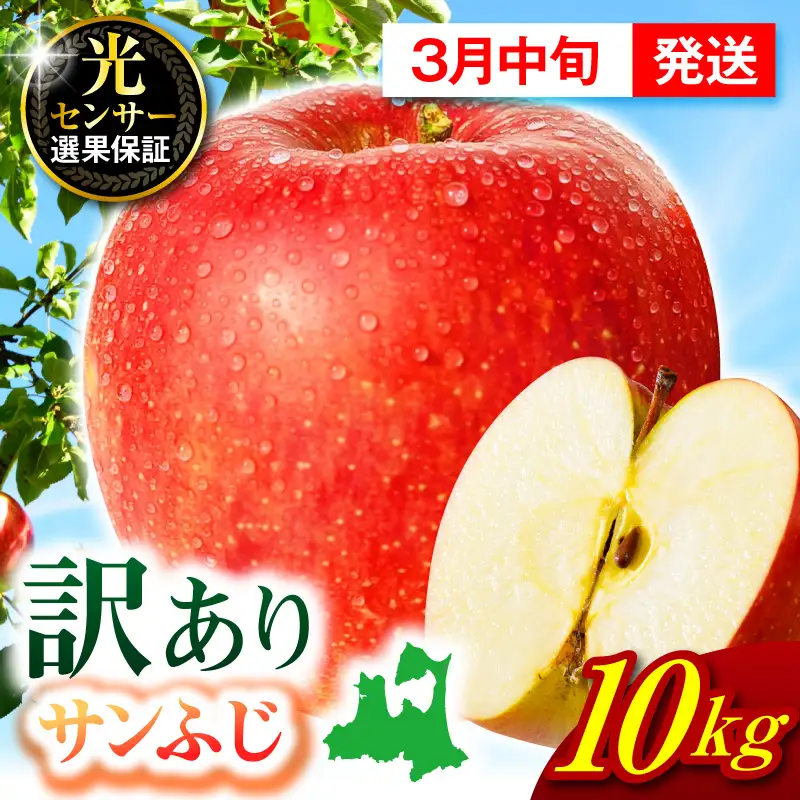 【2027年3月中旬発送】【訳あり】 りんご 約10kg サンふじ 青森 家庭用 りんご