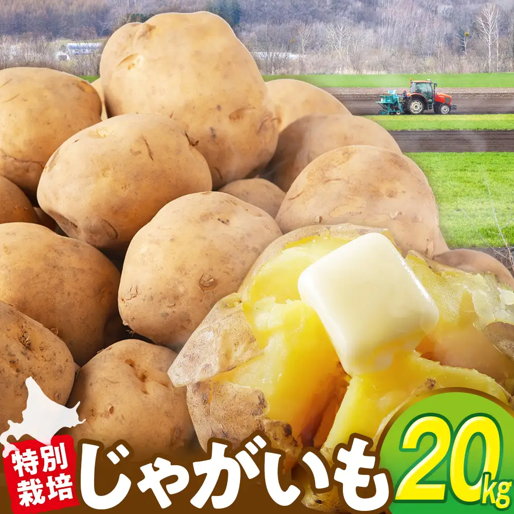 【先行受付】R8年産 特別栽培（男爵）じゃがいも 20kg  | ジャガイモ 芋 男爵 馬鈴薯 大容量 新鮮 野菜 煮物 カレー シチュー ポテト 保存 特産 産地直送 北海道 津別町 送料無料
