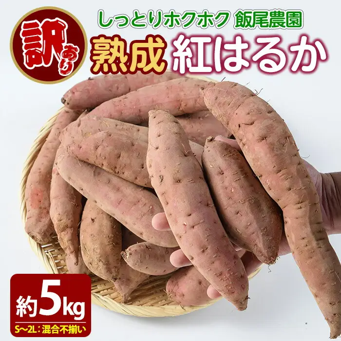 《 訳あり 》飯尾農園 熟成 紅はるか 約5kg 芋 いも さつまいも サツマイモ 鹿児島県産 国産 長島町産 べにはるか 熟成【飯尾農園】miio-7233