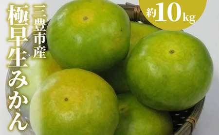 三豊市産極早生みかん 約10kg