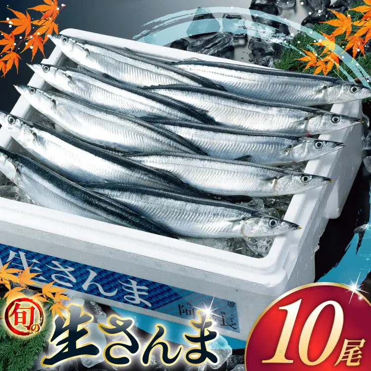 【期間限定発送】 生 さんま 10尾 