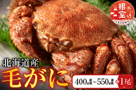 毛かに400g前後～550g前後×1尾 B-36021