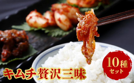 キムチ贅沢三昧10種セット_キムチ 10種 セット うま極辛 あまあま 紫蘇 白菜 刻みきびなご ピリ辛ごぼう なす イカナッツ きゅうり 大根 ピリ辛らっきょう 辛い 甘い 手作り こだわり 独自製法 ヤンニョム 石垣産 塩 ご飯のお供 お取り寄せ お取り寄せグルメ 福岡県 久留米市 送料無料 〔Ca110〕