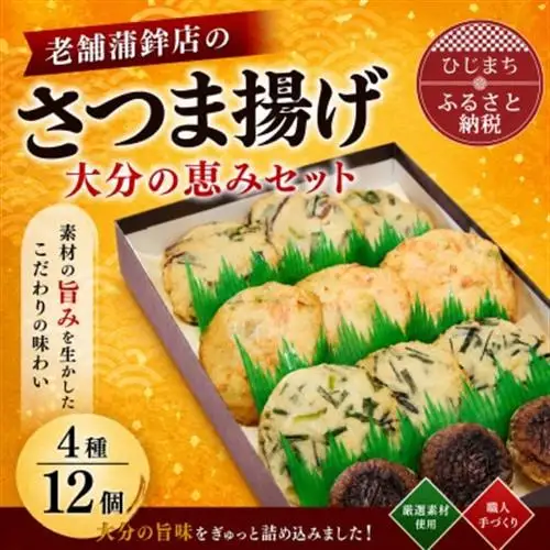 さつま揚げ(天ぷら) 大分の恵みセット 4種/12個入り_魚介・海産物 かまぼこ・練り製品  カマボコ 練物 練り物 ねりもの_【配送不可地域：離島】【1258344】