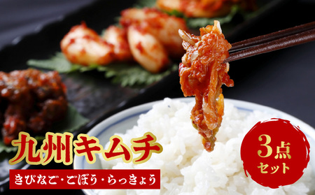 九州キムチ（きびなご・ごぼう・らっきょう）3点セット_九州キムチ 刻みきびなご ピリ辛ごぼう ピリ辛らっきょう 3点セット 女性 人気 ヘルシー ごぼう お酒 おつまみ らっきょう 甑島産 高級 きびなご キムチ レシピ ご飯のお供 食品 加工品 冷蔵 お取り寄せ お取り寄せグルメ 福岡県 久留米 送料無料 〔Ca112〕