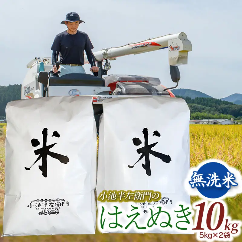 【令和7年産】 山形県庄内産 小池半左衛門のお米 はえぬき 無洗米 10kg (5kg×2袋)