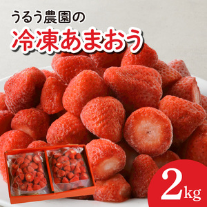 うるう農園の冷凍あまおう2kg_あまおう 2kg 冷凍 甘い 濃厚 新鮮 いちごの王様 うるう農園 いちご 果物 アレンジ おやつ フルーツ スイーツ スムージー ジャム アイス けずり苺 お取り寄せ お取り寄せグルメ 福岡県 久留米市 送料無料 〔Fi204〕
