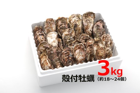 [2027年1月8日より発送！]オレの牡蠣 広島県大竹市産 殻付牡蠣 3kg 大容量 朝どれ [1806]