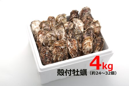[2027年1月8日より発送！]オレの牡蠣 広島県大竹市産 殻付牡蠣 4kg 大容量 朝どれ [1807]