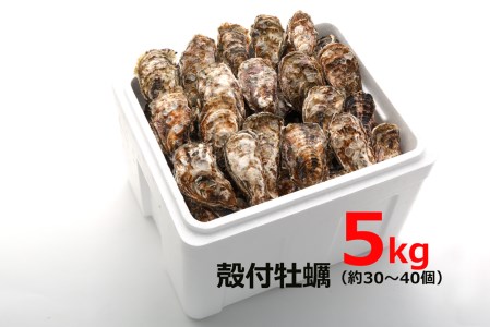 [2027年1月8日より発送！]オレの牡蠣 広島県大竹市産 殻付牡蠣 5kg 大容量 朝どれ [1808]