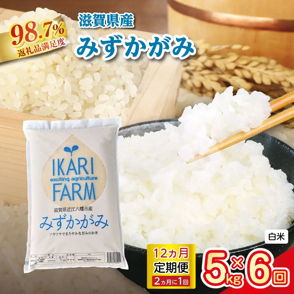 【新米】令和8年産 みずかがみ　白米定期便　12か月で5kgを6回お届け（2か月に1回）【C035W2】近江米