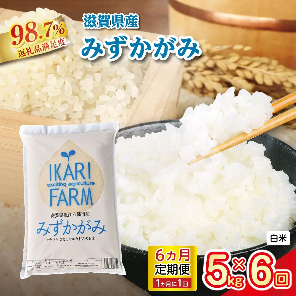 【新米】令和8年産みずかがみ　白米定期便　6か月で5kgを6回お届け（1か月に1回）【C036W2】 近江米