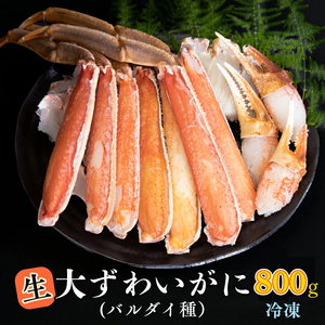 生冷 大ずわいがに 800g 数量限定 バルダイ種 ずわいがに かに _AF008