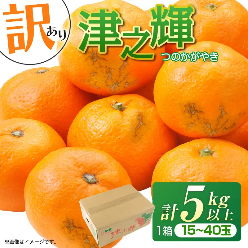先行予約 訳あり みかん 津之輝 つのかがやき 5kg 希少 L ～ 4L サイズ不揃い フルーツ_BD144-26