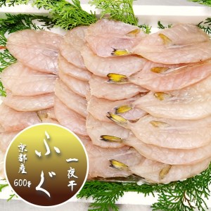 京都府産 ふぐ 一夜干し 600g 無添加 ふぐ