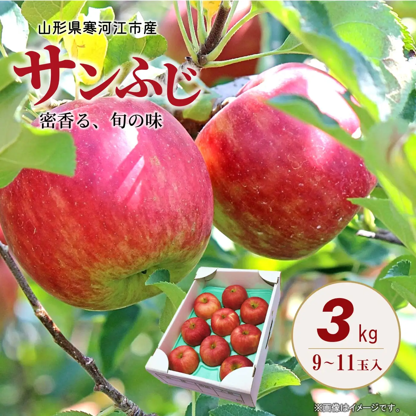 令和8年産 りんご サンふじ 3kg 秀品 山形県産 【2026年11月下旬頃から12月下旬頃発送予定】　013-B-CS005
