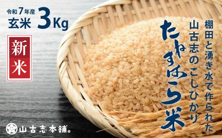 G3-7G03旧山古志村のこしひかり「たねすはら米」玄米3kg（新潟県産コシヒカリ）