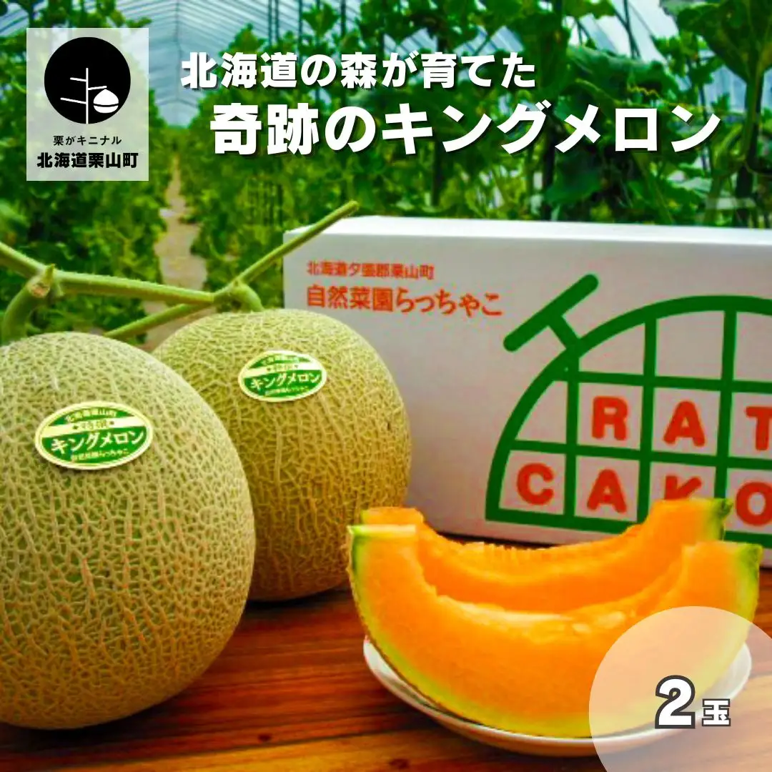 【2027年度産 先行予約・数量限定】北海道の森が育てた奇跡のキングメロン 2玉