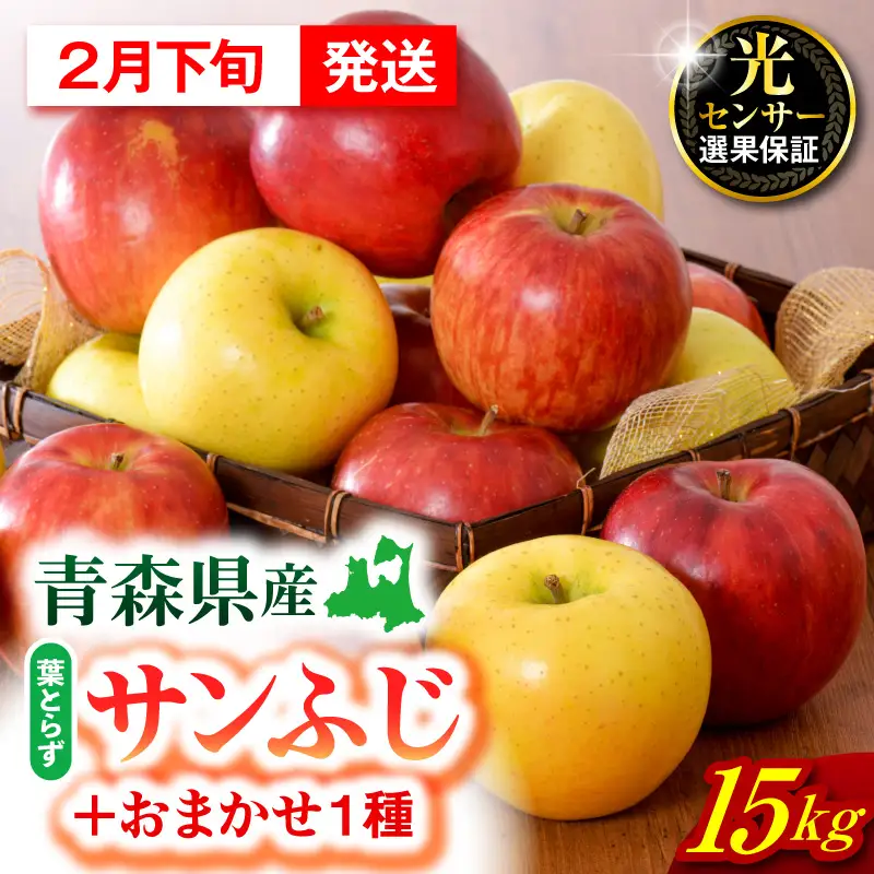 【2027年2月下旬発送】【訳あり】 りんご 15kg 詰め合わせ 計2種(サンふじ と 他1種) 家庭用りんごフルーツ 家庭用