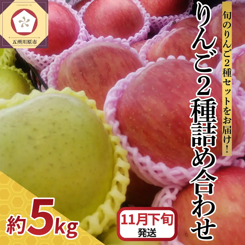 【2026年11月下旬発送】 りんご 5kg サンふじ 王林 他 紅白 詰め合わせ 青森 