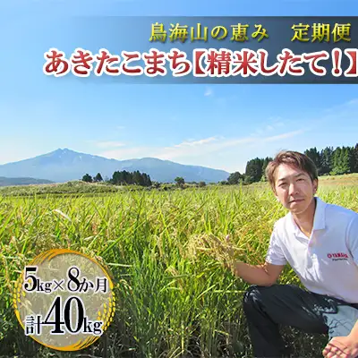 あきたこまち 秋田県産 鳥海山の恵み 精米したて 農家直送 あきたこまち【計40kg 5kg×8回】【定期便】