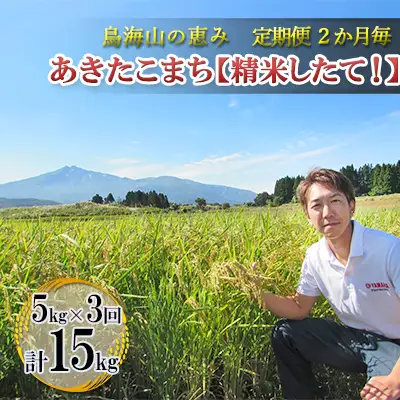 【先行予約】《定期便 3回 隔月配送》 あきたこまち 5kg  精米 あきたこまち R8年産