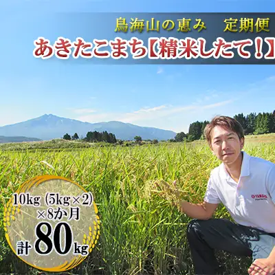 あきたこまち 秋田県産 鳥海山の恵み 精米したて 農家直送 あきたこまち【計80kg 10kg(5kg×2)×8回】【定期便】