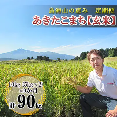 あきたこまち 秋田県産 鳥海山の恵み 玄米 農家直送 あきたこまち【計90kg 10kg(5kg×2)×9回】【定期便】