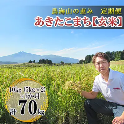 あきたこまち 秋田県産 鳥海山の恵み 玄米 農家直送 あきたこまち【計70kg 10kg(5kg×2)×7回】【定期便】