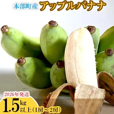 【2026年発送】本部町産アップルバナナ　1.5kg以上 フルーツ 青果