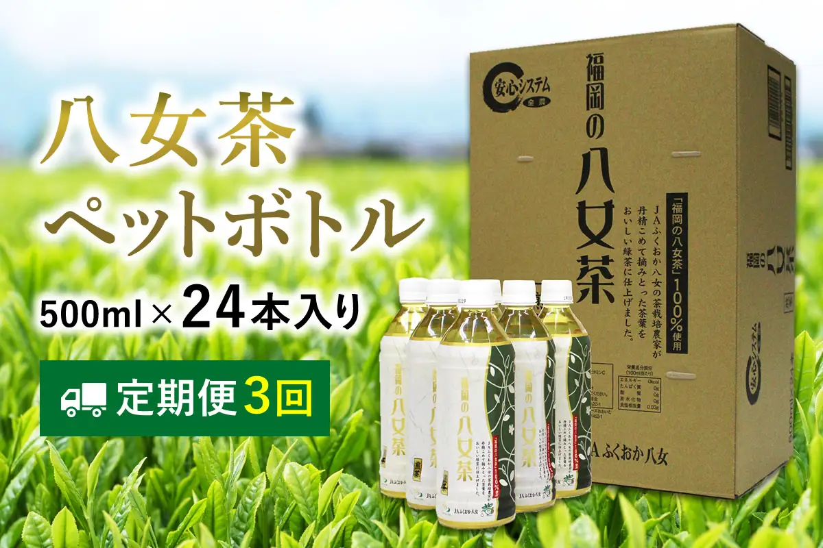 八女茶 煎茶ペットボトル 500ml×24本 【3ヵ月定期便】【E7-006】
