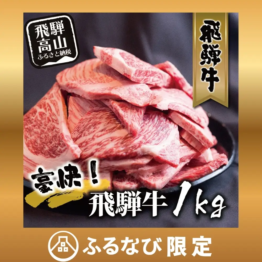 【ふるなび限定】飛騨牛 訳あり 焼肉1kg 切りおとし | 牛肉 訳あり 丸明 LR008-CP02 FN-Limited-PR