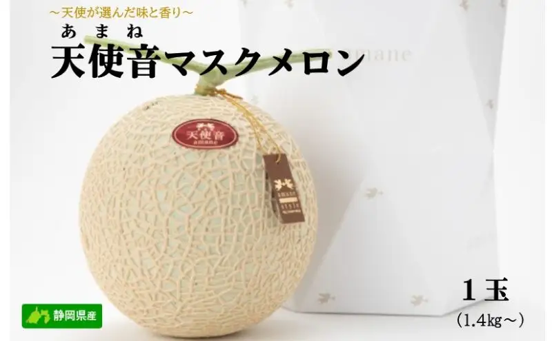 天使音（あまね）マスクメロン 1玉（1.4kg以上）高級 フルーツ 果物 メロン 静岡 浜松市【配送不可：離島】