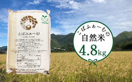 お米 自然米 4.8kg 無農薬 有機JAS お米