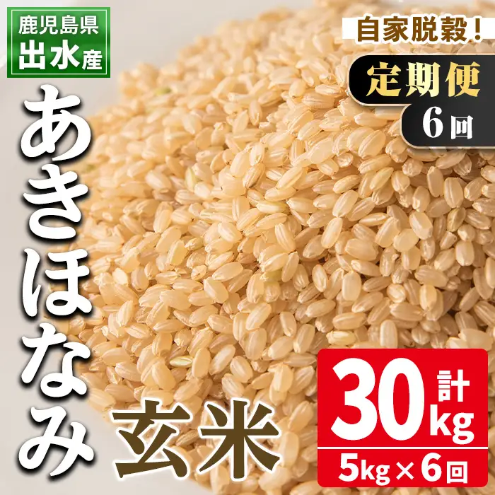  【6回定期便】玄米 あきほなみ 5kg【田上商店】i539