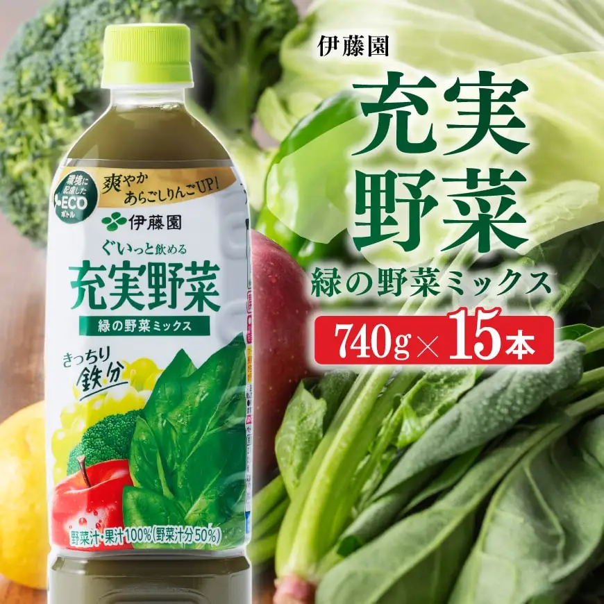 伊藤園 充実野菜 緑の野菜ミックス（PET） 740ｇ×15本 飲料 野菜ジュース 備蓄 長期保存