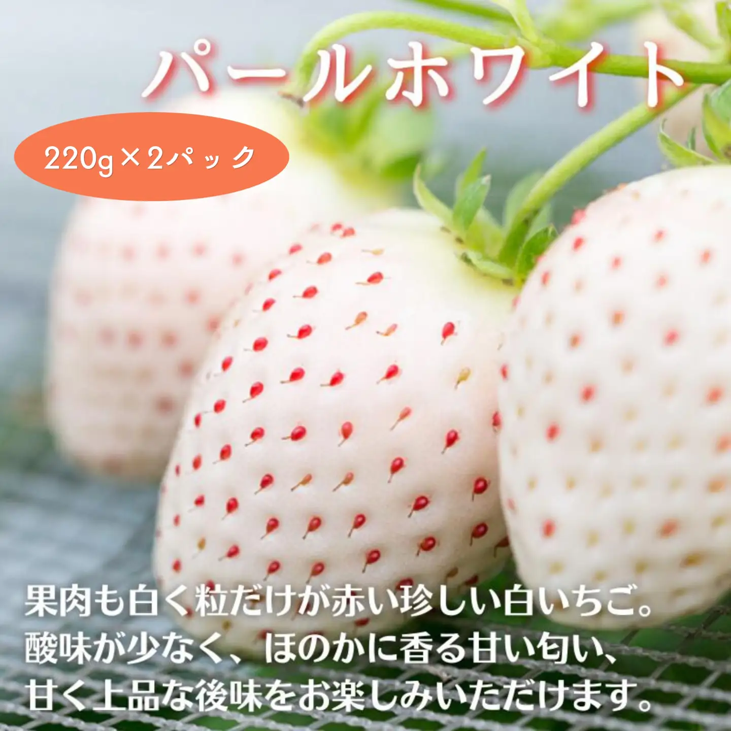 数量限定！先行受付！佐賀県産いちご パールホワイト【2027年1～4月発送】：B190-025